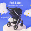 Pack & Play Mattress